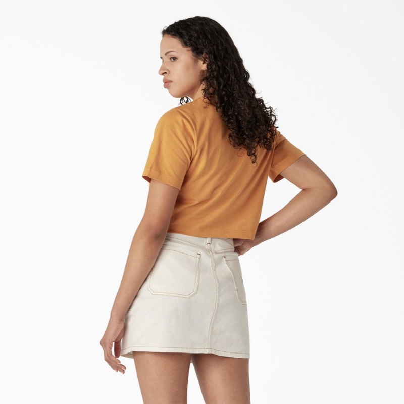 Women's Dickies Desert Graphic Cropped T-Shirt Yellow | 298473CTB