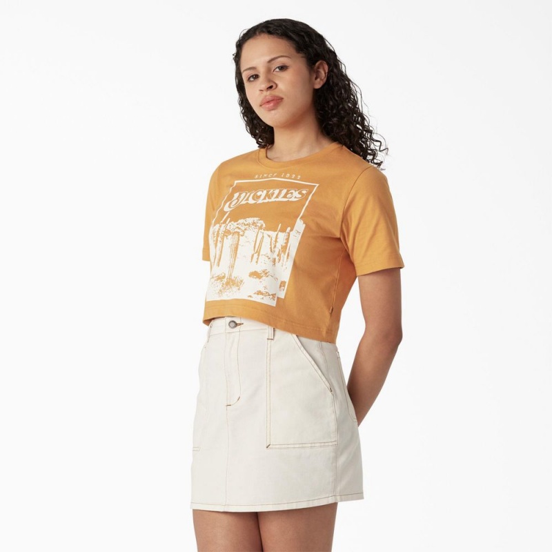 Women's Dickies Desert Graphic Cropped T-Shirt Yellow | 298473CTB