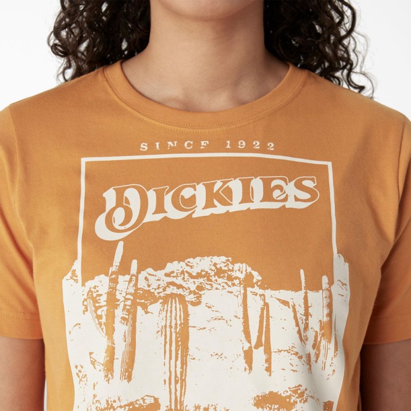 Women's Dickies Desert Graphic Cropped T-Shirt Yellow | 298473CTB