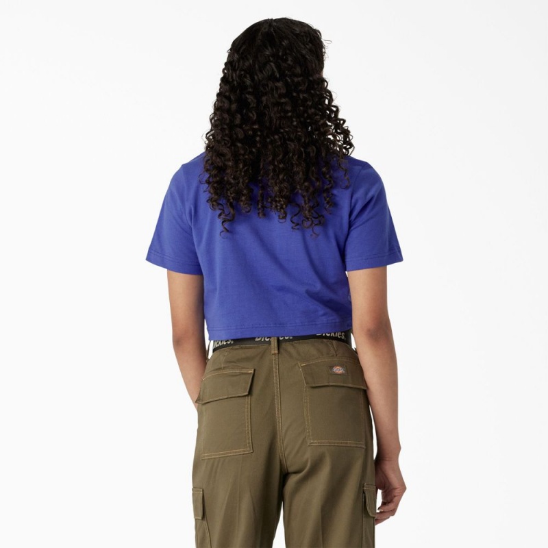 Women's Dickies Desert Graphic Cropped T-Shirt Blue | 928634FAL