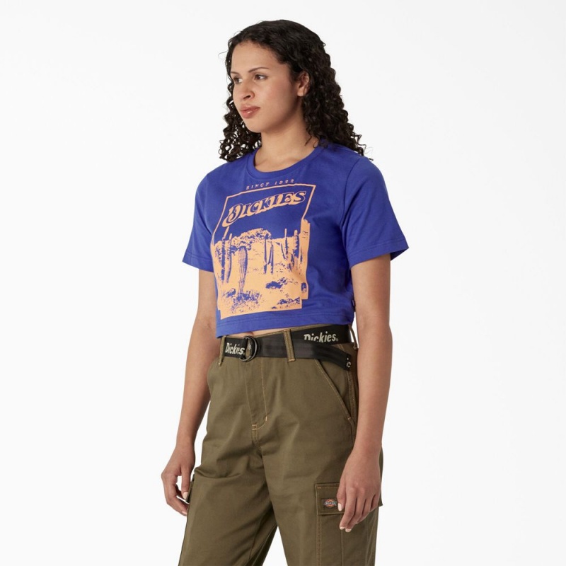 Women's Dickies Desert Graphic Cropped T-Shirt Blue | 928634FAL