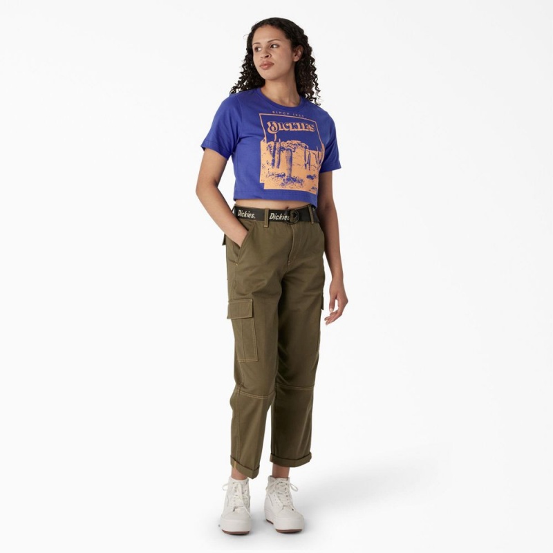 Women's Dickies Desert Graphic Cropped T-Shirt Blue | 928634FAL