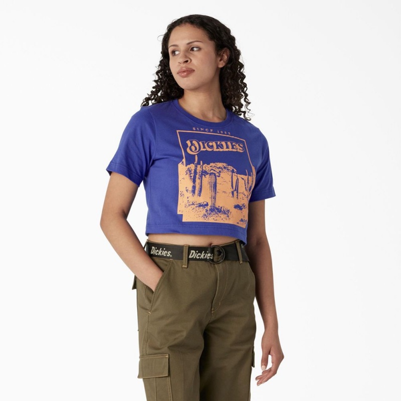 Women\'s Dickies Desert Graphic Cropped T-Shirt Blue | 928634FAL