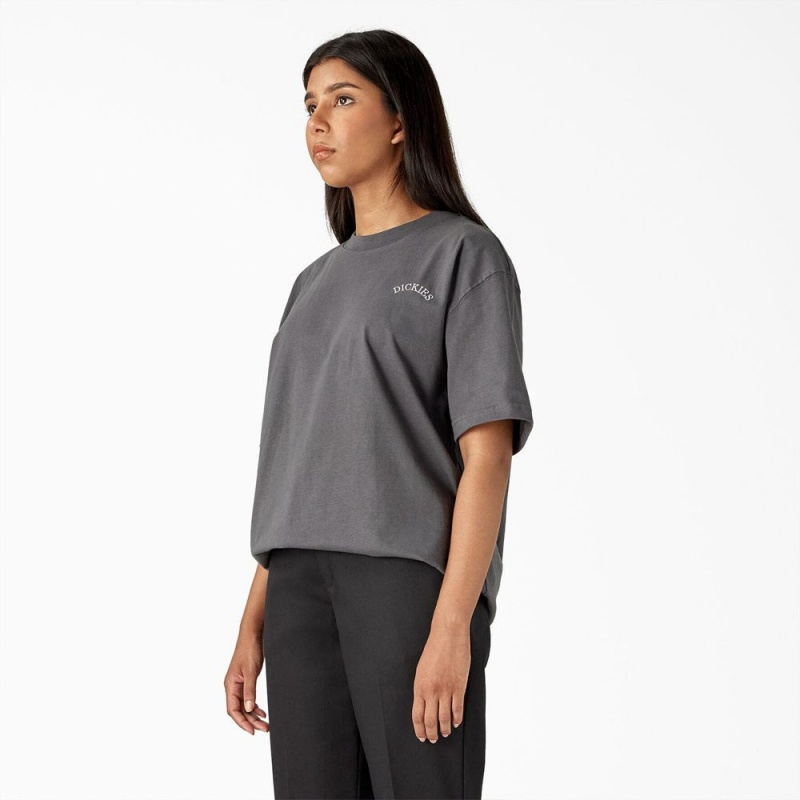 Women's Dickies Eagle Barrel Heavyweight T-Shirt Grey | 851627LOQ