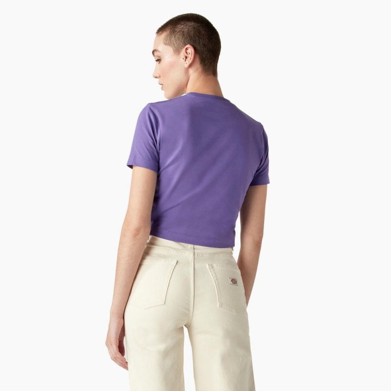 Women's Dickies Garden Plain Cropped T-Shirt Purple | 402176CQY