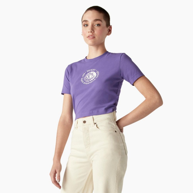 Women's Dickies Garden Plain Cropped T-Shirt Purple | 402176CQY