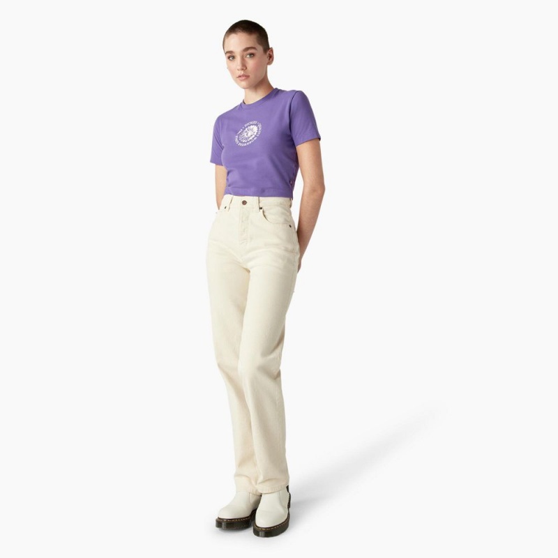 Women's Dickies Garden Plain Cropped T-Shirt Purple | 402176CQY