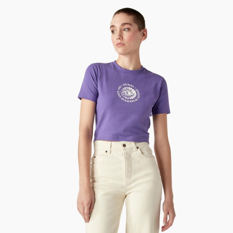 Women\'s Dickies Garden Plain Cropped T-Shirt Purple | 402176CQY