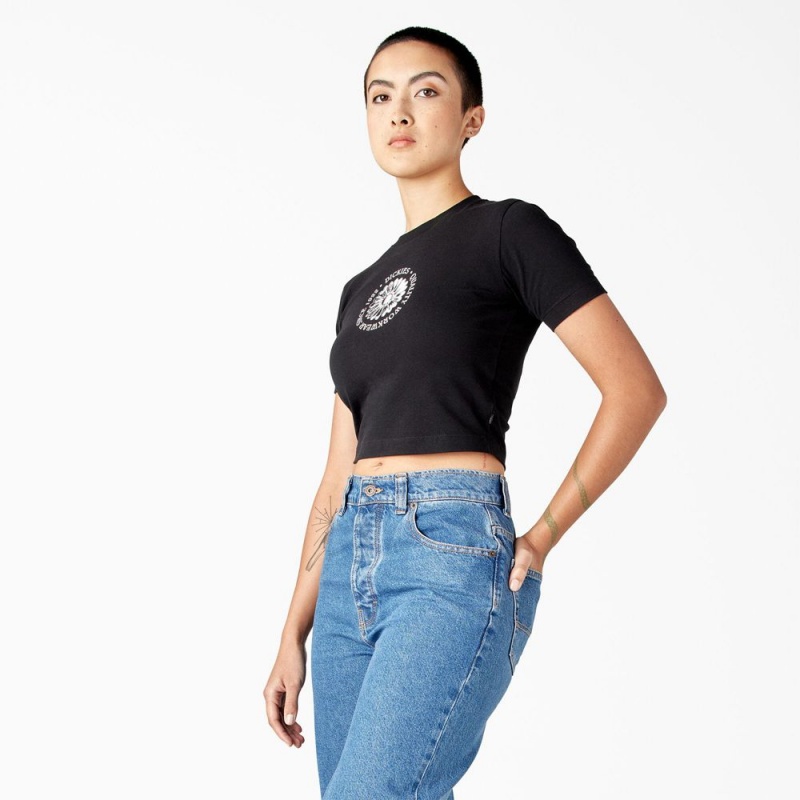 Women's Dickies Garden Plain Cropped T-Shirt Black | 586702TVJ