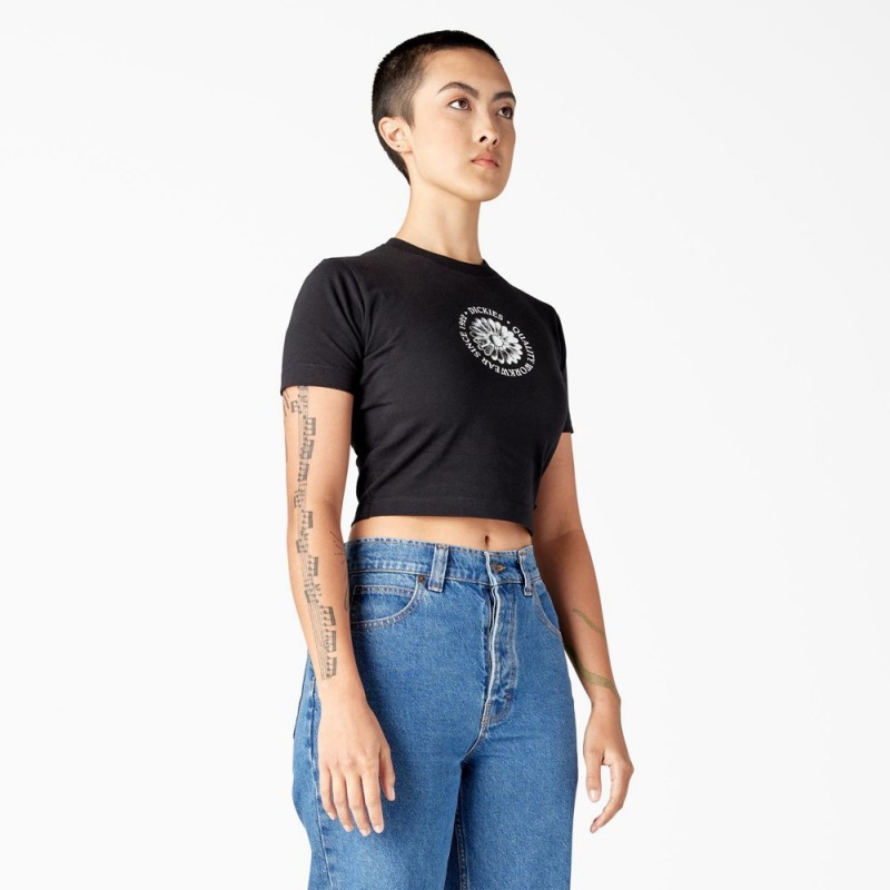 Women's Dickies Garden Plain Cropped T-Shirt Black | 586702TVJ