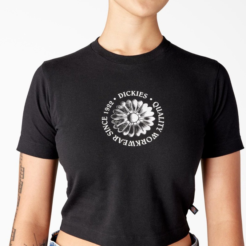 Women's Dickies Garden Plain Cropped T-Shirt Black | 586702TVJ