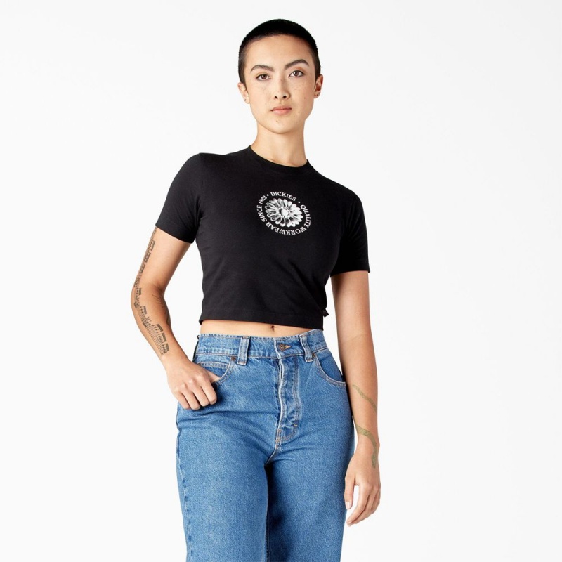 Women\'s Dickies Garden Plain Cropped T-Shirt Black | 586702TVJ