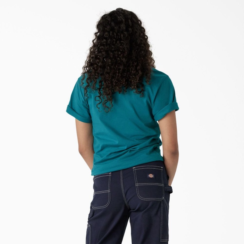 Women's Dickies Graphic Band T-Shirt Blue | 205976YBF