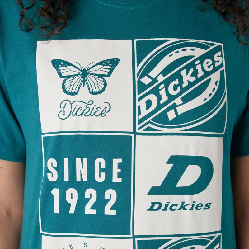 Women's Dickies Graphic Band T-Shirt Blue | 205976YBF