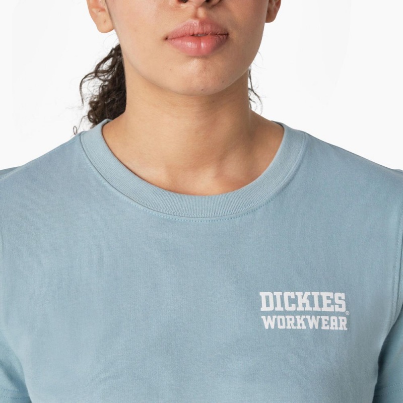 Women's Dickies Heavyweight Workwear Graphic T-Shirt Blue | 043589AOM