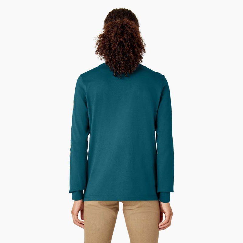 Women's Dickies Long Sleeve Heavyweight Graphic T-Shirt Blue | 063541QKV