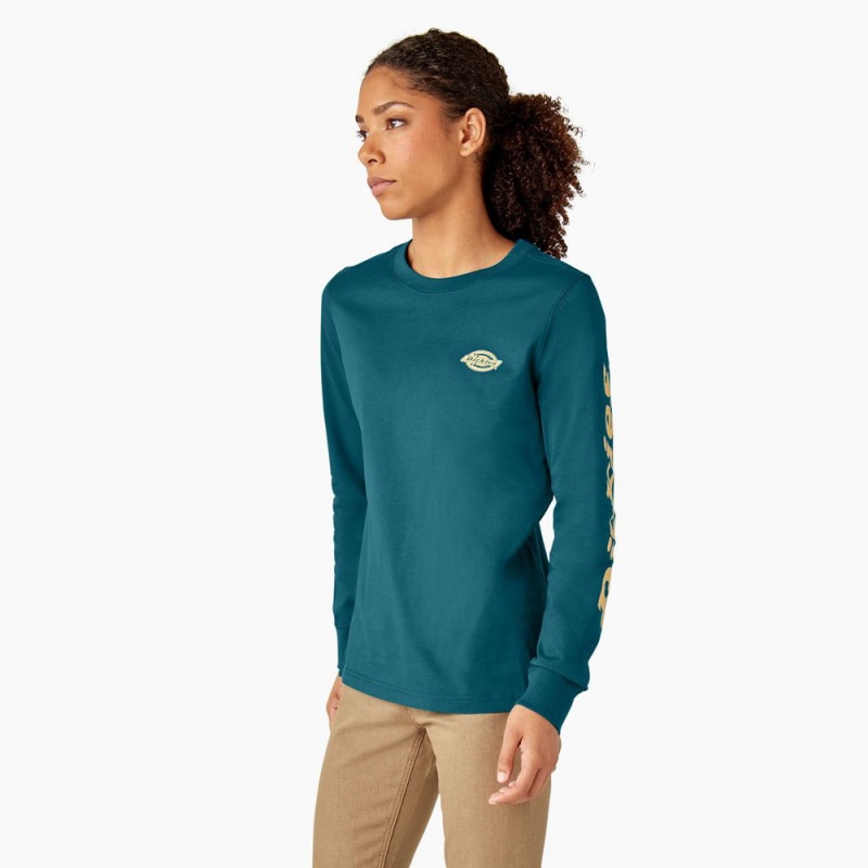 Women's Dickies Long Sleeve Heavyweight Graphic T-Shirt Blue | 063541QKV