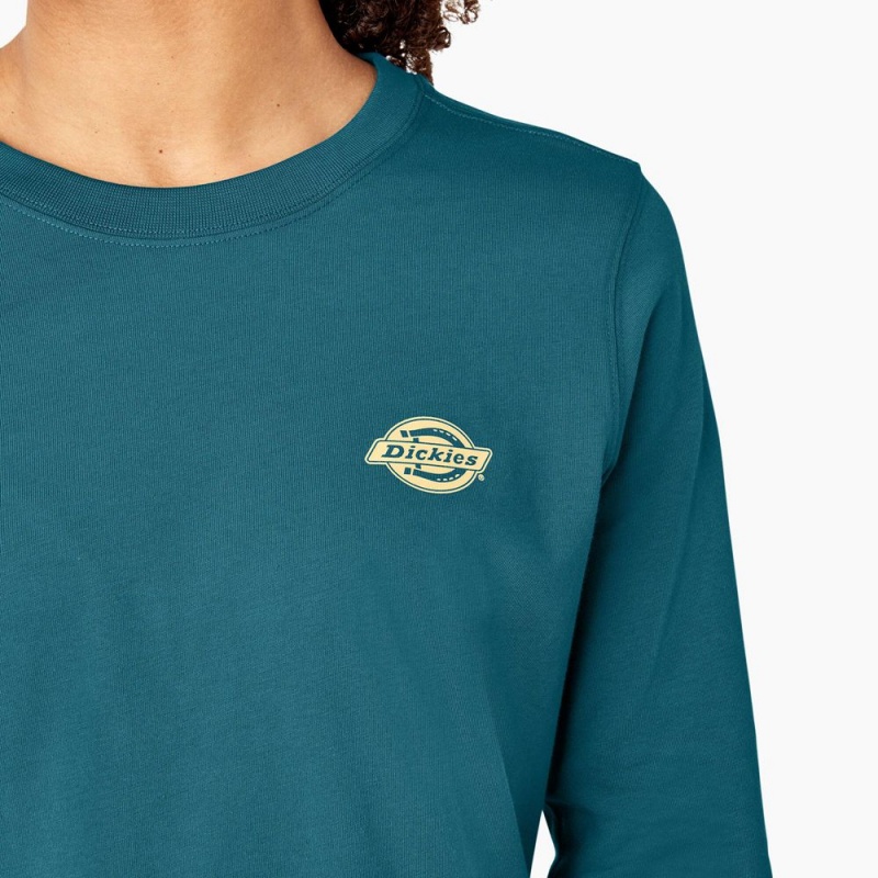 Women's Dickies Long Sleeve Heavyweight Graphic T-Shirt Blue | 063541QKV