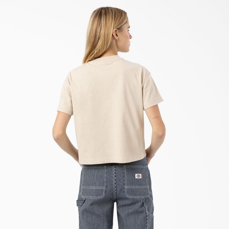 Women's Dickies Loretto Cropped T-Shirt Beige | 953126KOL