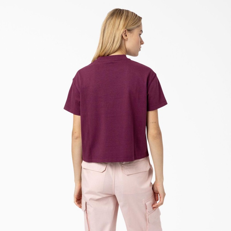 Women's Dickies Loretto Cropped T-Shirt Purple | 482761ZEW