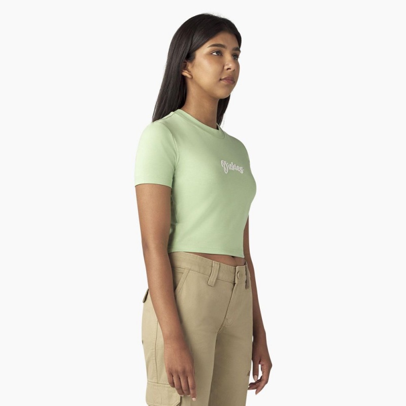 Women's Dickies Mayetta Cropped T-Shirt Green | 940758NPU