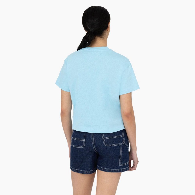 Women's Dickies Oakport Cropped T-Shirt Blue | 630789SAQ