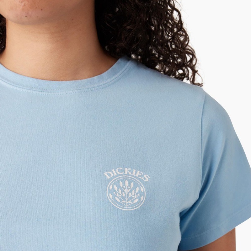 Women's Dickies Ombre Cropped T-Shirt Blue | 614503KNF