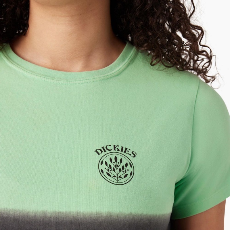 Women's Dickies Ombre Cropped T-Shirt Green | 183250MEU