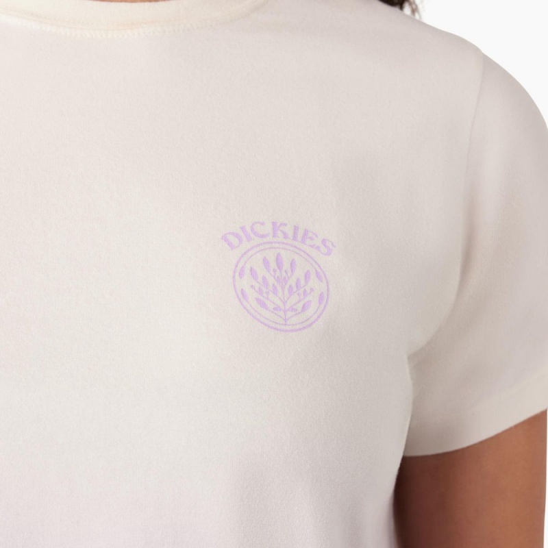 Women's Dickies Ombre Cropped T-Shirt Purple | 376251DHR