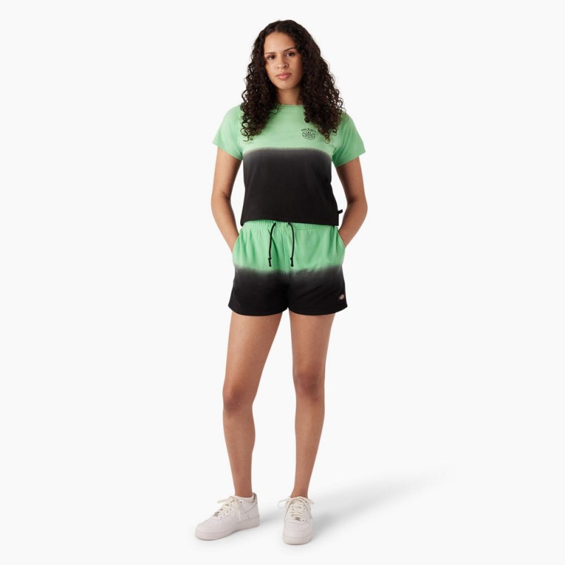 Women's Dickies Relaxed Fit Ombre Knit Shorts Green | 149238NPT