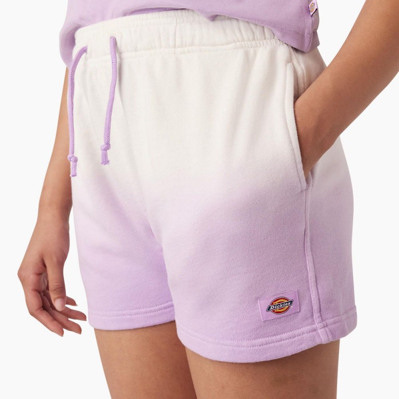 Women's Dickies Relaxed Fit Ombre Knit Shorts Purple | 270153CUF