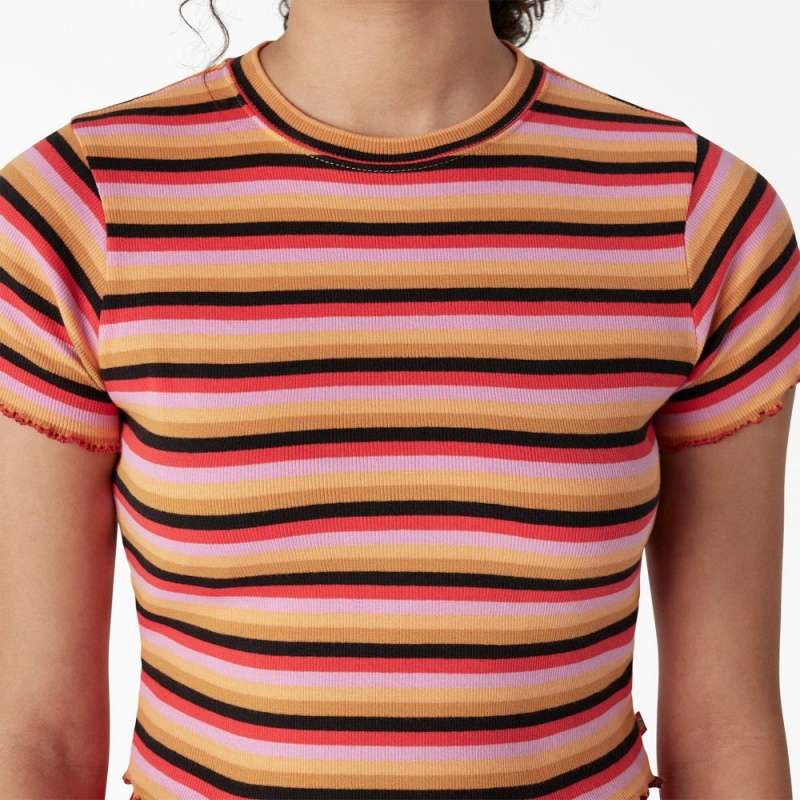 Women's Dickies Striped Cropped Baby T-Shirt Orange | 769415KBX