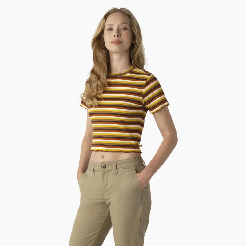 Women's Dickies Striped Cropped Baby T-Shirt Yellow | 418056MHK