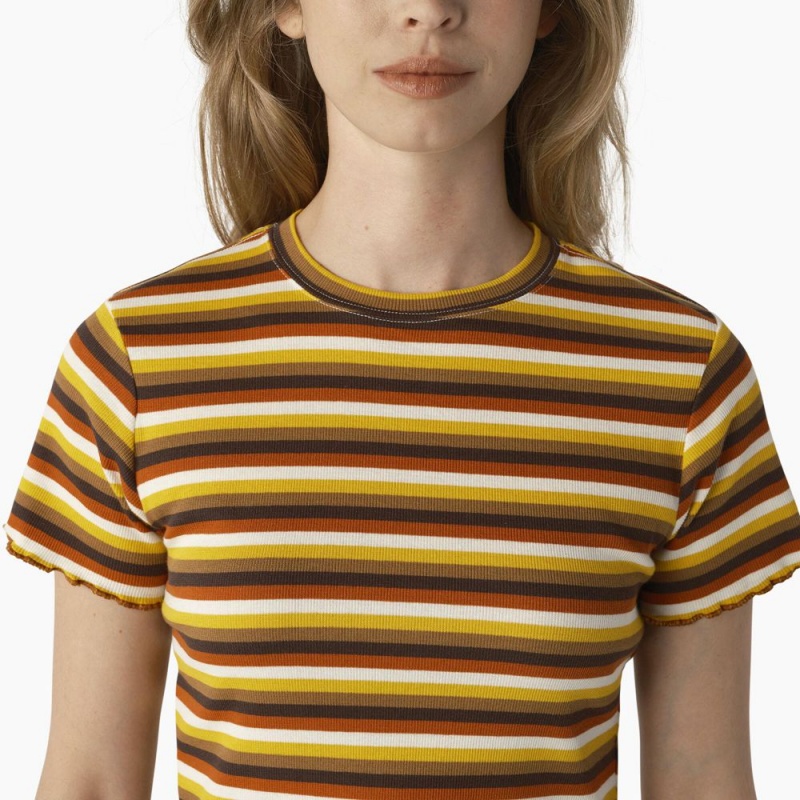 Women's Dickies Striped Cropped Baby T-Shirt Yellow | 418056MHK