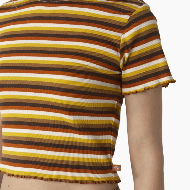 Women's Dickies Striped Cropped Baby T-Shirt Yellow | 418056MHK