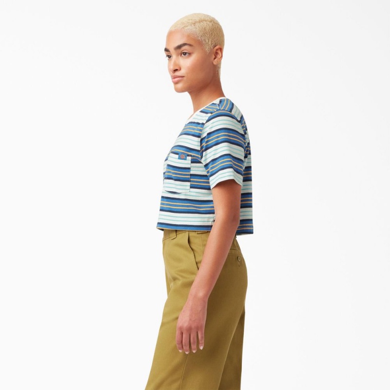 Women's Dickies Striped Cropped Pocket T-Shirt Blue | 724106XHB