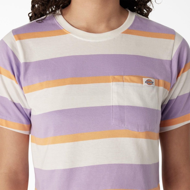 Women's Dickies Striped Cropped Pocket T-Shirt Purple | 239417QOL