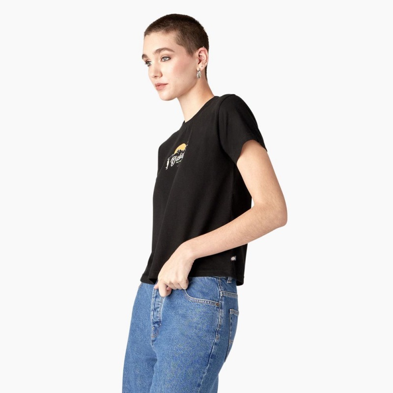 Women's Dickies Twill Ranch Graphic T-Shirt Black | 720136UZP